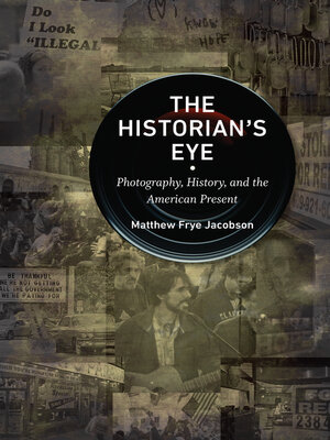 cover image of The Historian's Eye